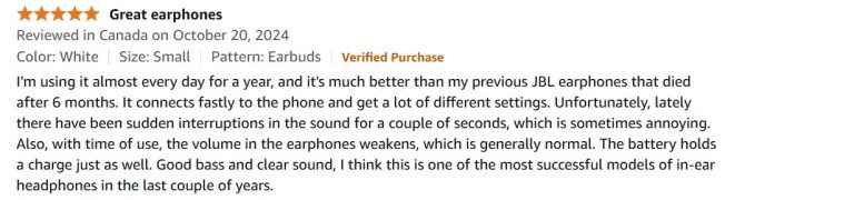 JBL Tune Flex REVIEW 2