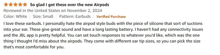 JBL Tune Flex REVIEW