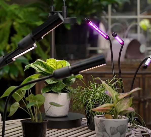 Different Types of Grow Lights