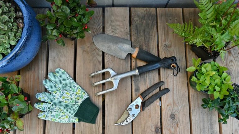 What Are the Most Important Gardening Tools