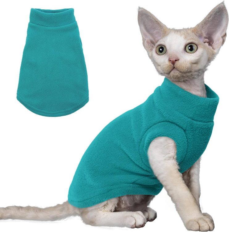 pumyporeity cat sweater
